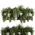 Indoorplants-Hanging plants set-92 - Thumbnail 5
