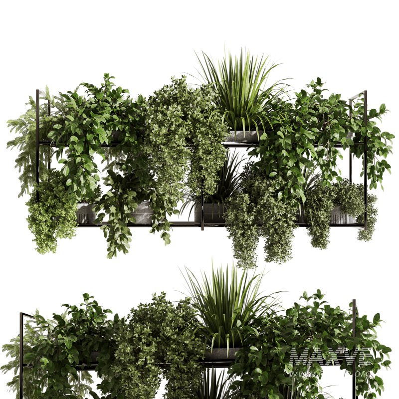 Indoorplants-Hanging plants set-92 - Image 5