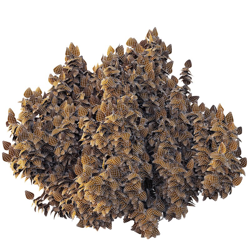 Different bush 01 - Image 6