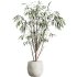 AV HousePlants Japandi Decorative Minimalism Ficus Dracaena Marginata21 - Thumbnail 2