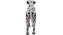 Dalmatian - Thumbnail 2