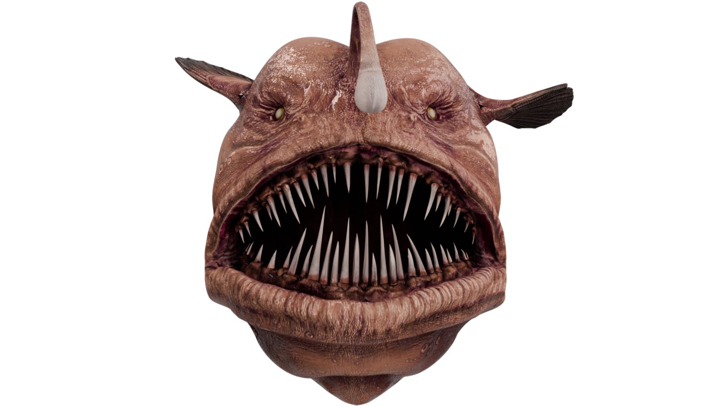 Angler Fish - Image 8