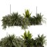 Indoorplants-Hanging plants set-93 - Thumbnail 1