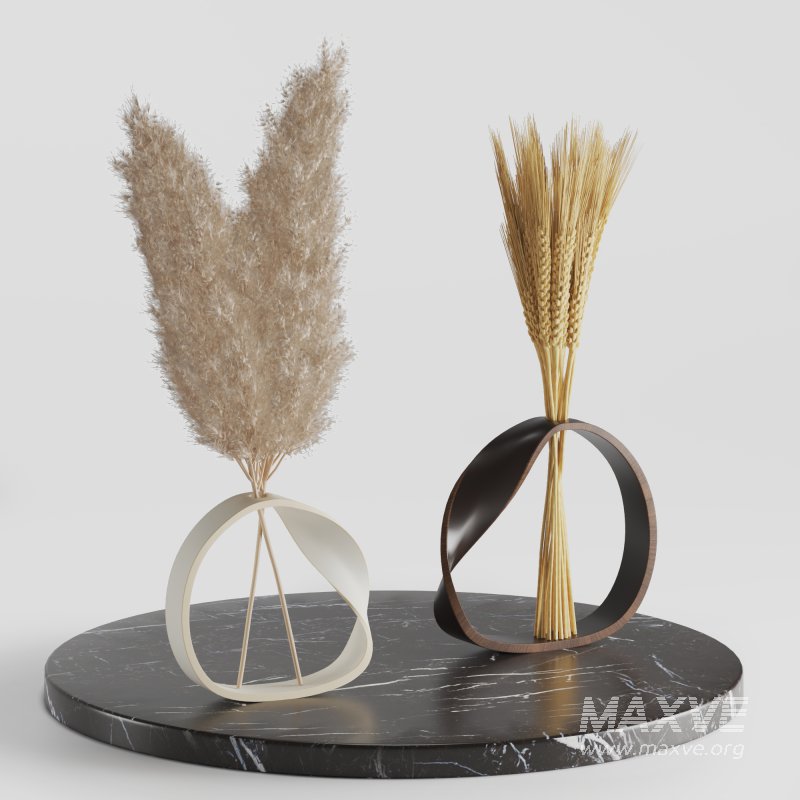 Indoor Bouquet Pampas Bunny tail Wheat - Image 4