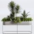 : Indoor plants-plants in box set174 - Thumbnail 2