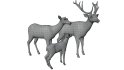 Deer Family - Thumbnail 9