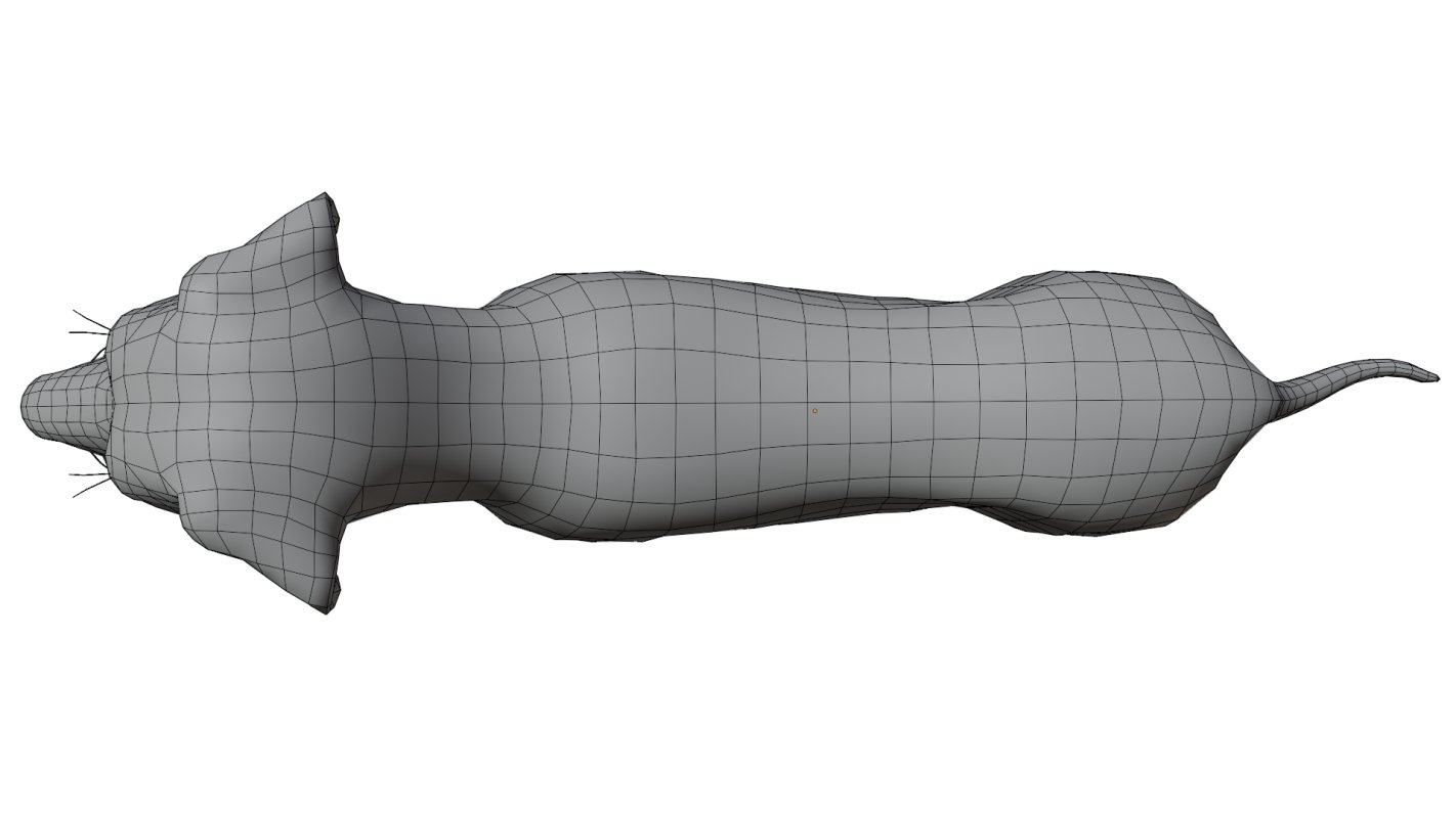 Dalmatian - Image 18