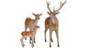 Deer Family - Thumbnail 4