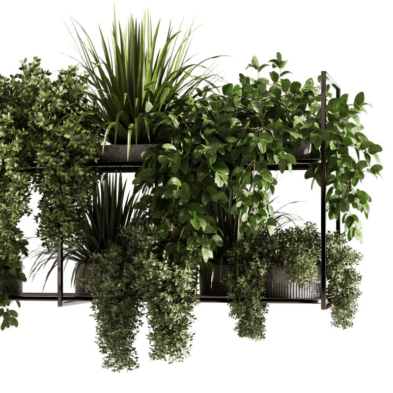 Indoorplants-Hanging plants set-92 - Image 3