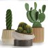 Indoor Plant Cactus set02 - Thumbnail 5