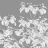 Alnus glutinosa – Common alder -02 - Thumbnail 3
