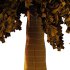 Cedrus deodara Tree 001 - Thumbnail 4