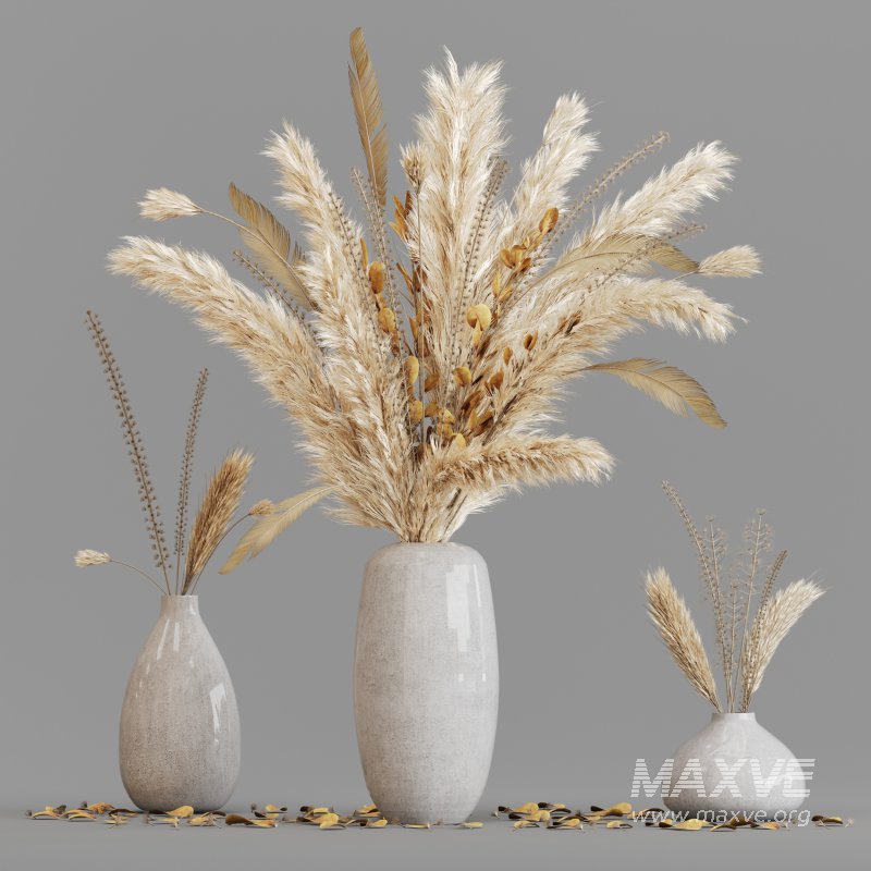 Dried pampas elegance - Image 2