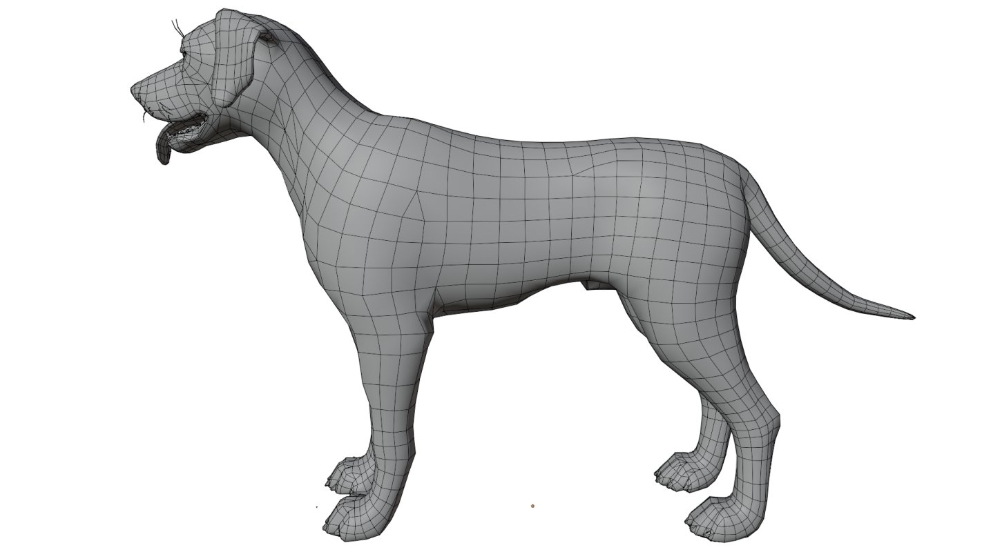 Dalmatian - Image 12