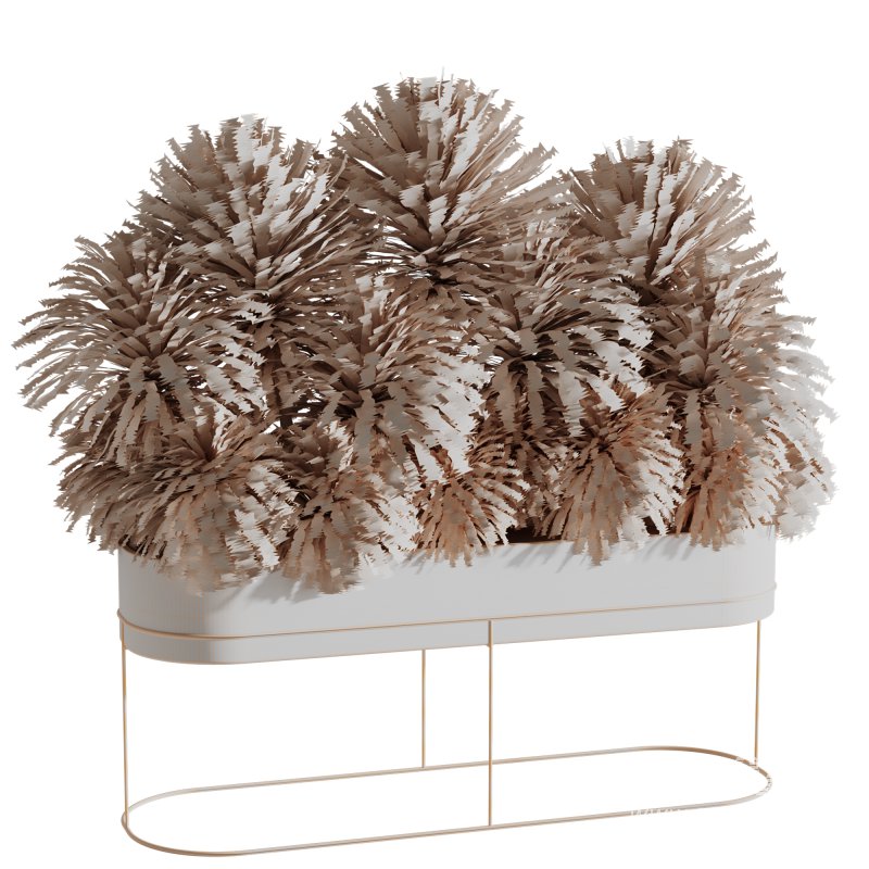 Indoor plants-Plants in Box- set175 - Image 2