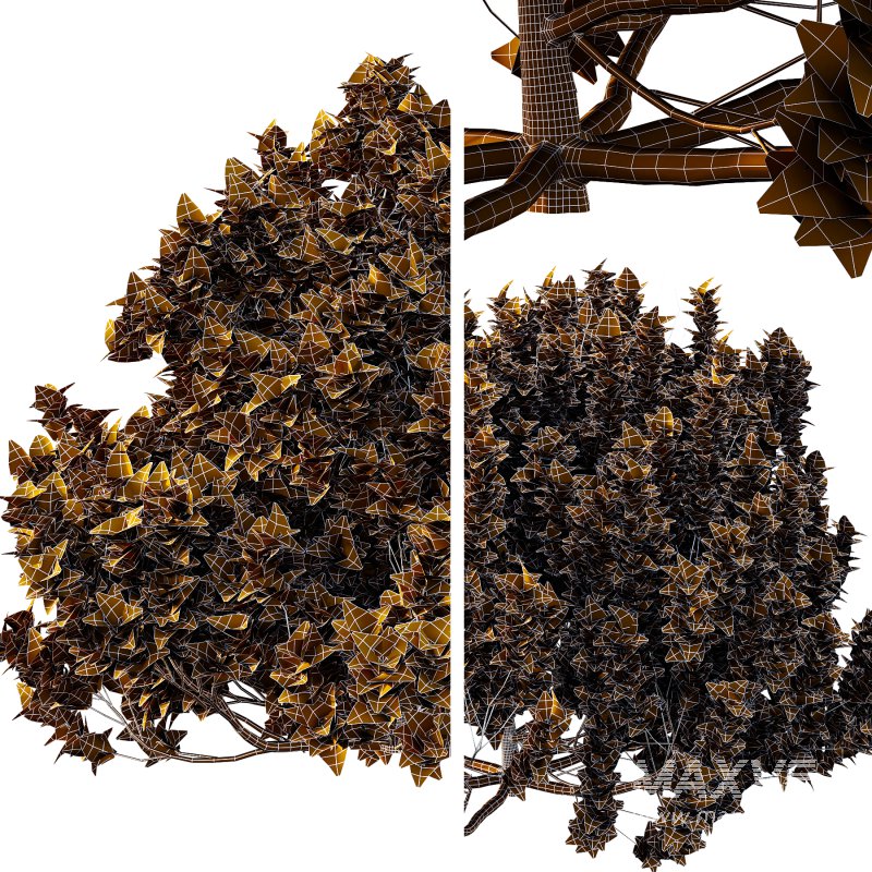 Different bush 02 - Image 7