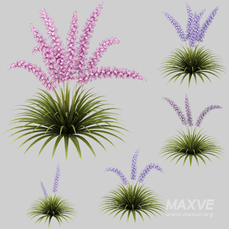 Fantasy grass cluster - Image 5