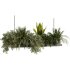 Indoorplants-Hanging plants set-93 - Thumbnail 2