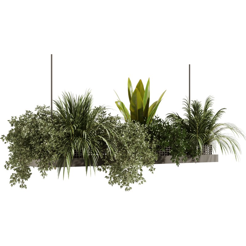 Indoorplants-Hanging plants set-93 - Image 2