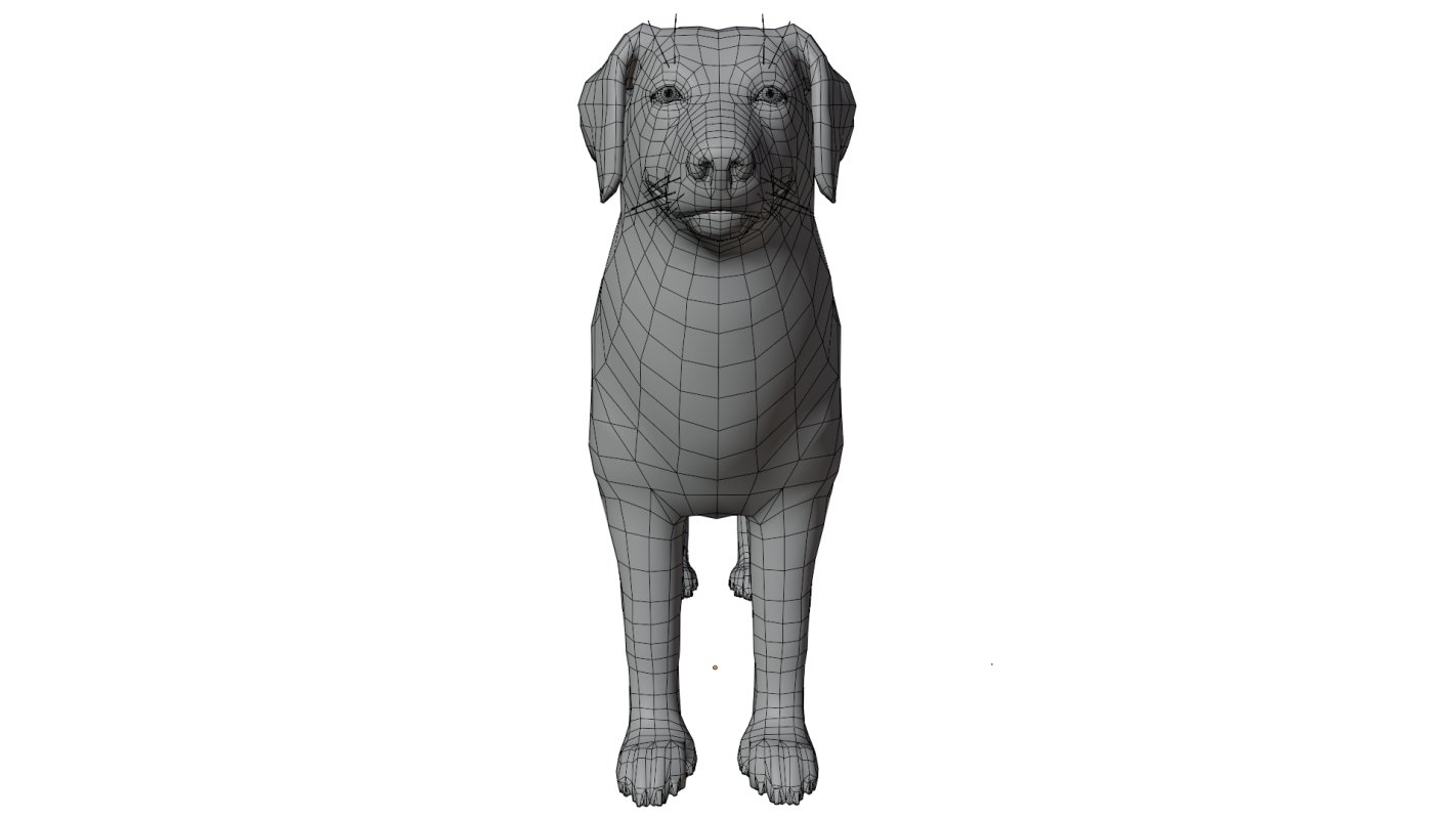 Golden Retriever - Image 17