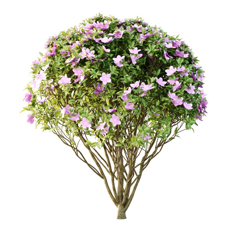 Different bush 03 - Image 5