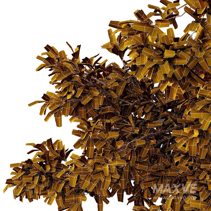 Spanish Moss Tree 02 - Image 3