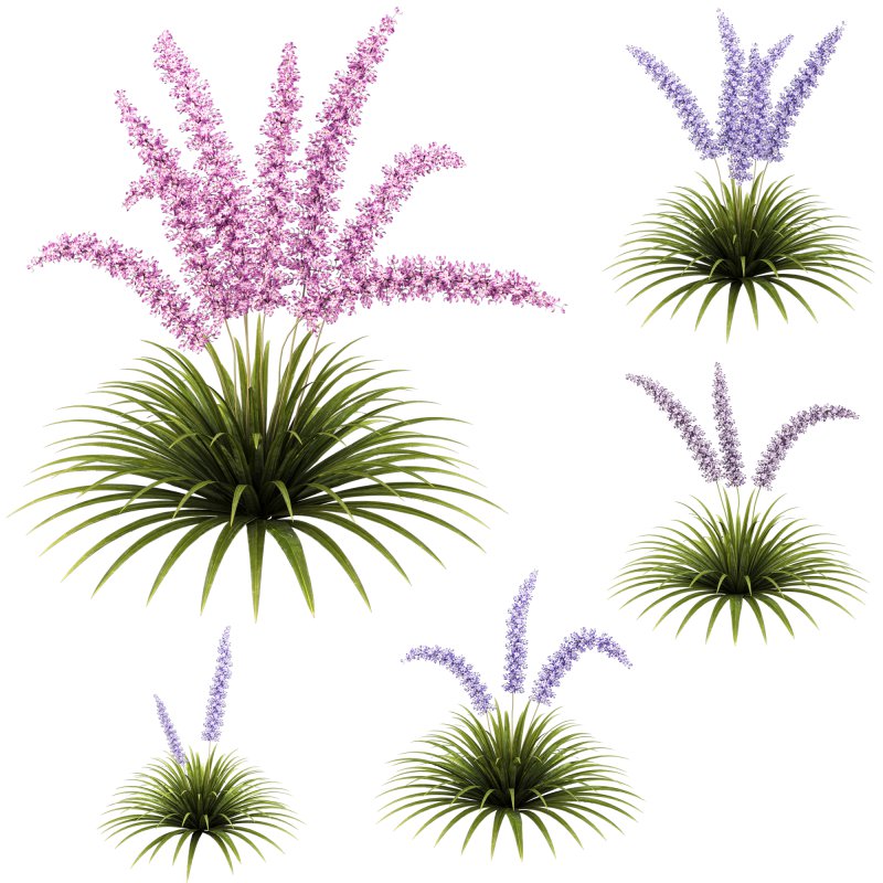 Fantasy grass cluster - Image 3