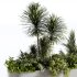 : Indoor plants-plants in box set174 - Thumbnail 3