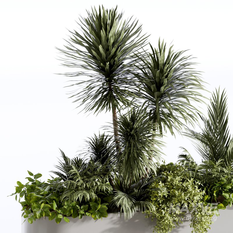 : Indoor plants-plants in box set174 - Image 3