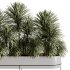 Indoor plants-Plants in Box- set175 - Thumbnail 5