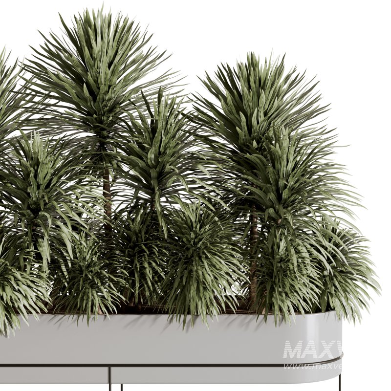 Indoor plants-Plants in Box- set175 - Image 5