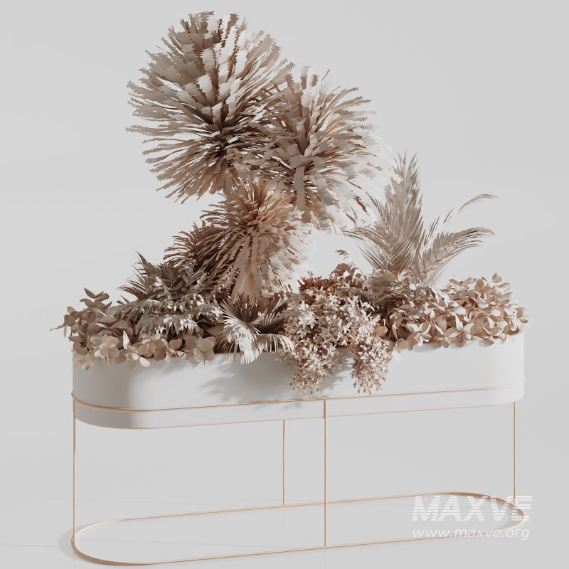 : Indoor plants-plants in box set174 - Image 6