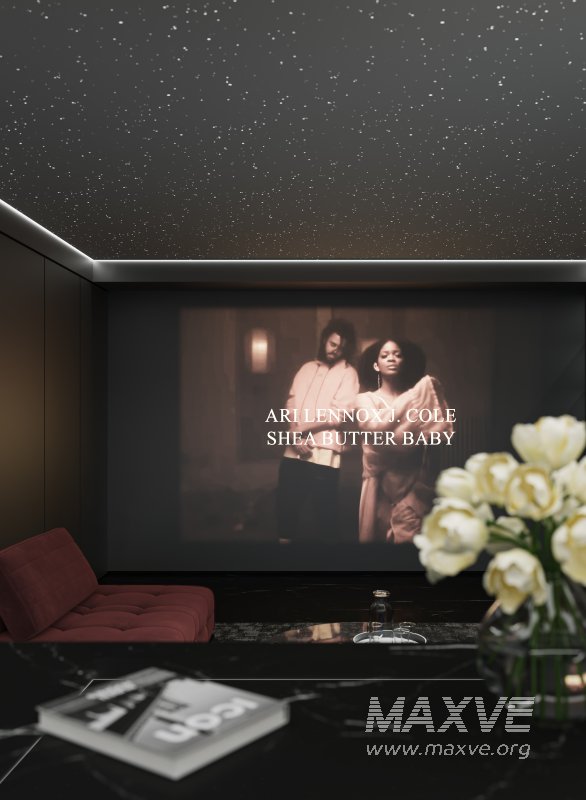 cinema room - Image 2