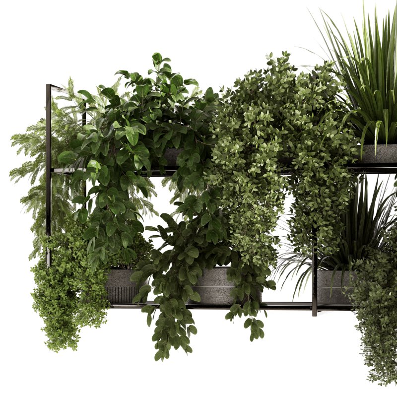 Indoorplants-Hanging plants set-92 - Image 4