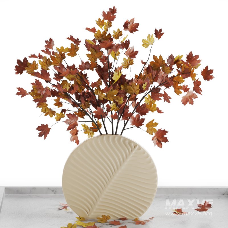 Decorative Dried Plant Bouquet set01 - Image 2