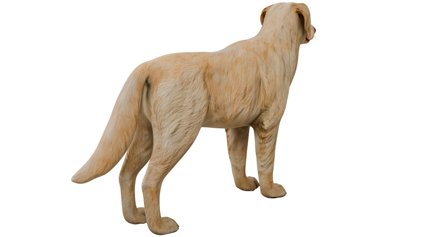 Golden Retriever - Image 3