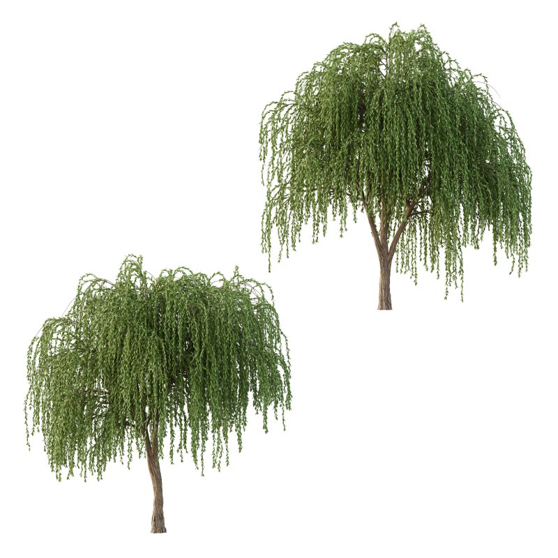 Weeping Willow Tree 01 - Image 1