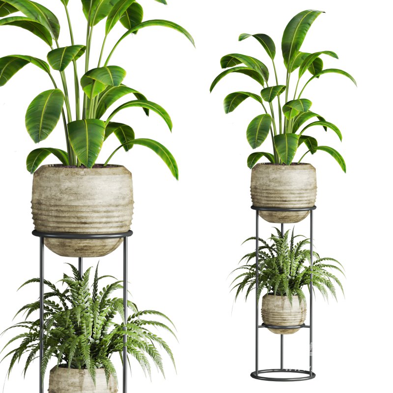 plants set - Image 5