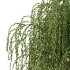 Weeping Willow Tree 01 - Thumbnail 5