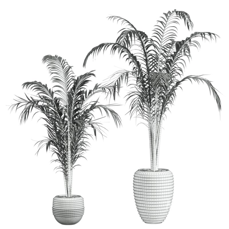 plants set - Image 4