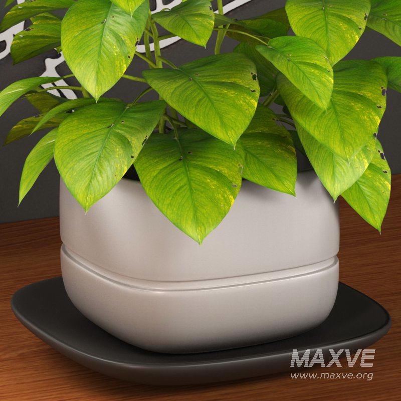 Café Set 01 - Image 3