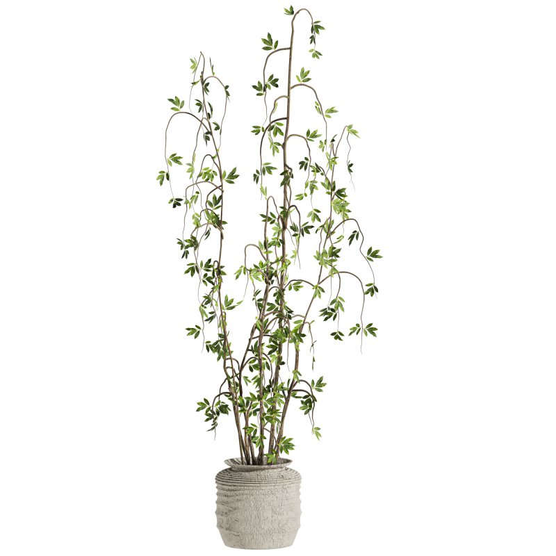 Plants Set - Image 3