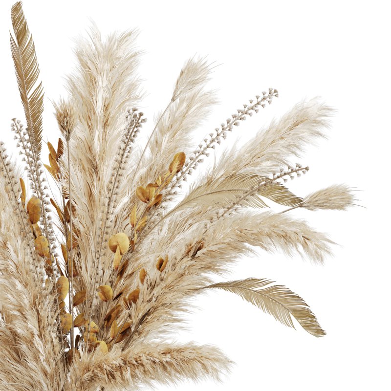 Dried pampas elegance - Image 3