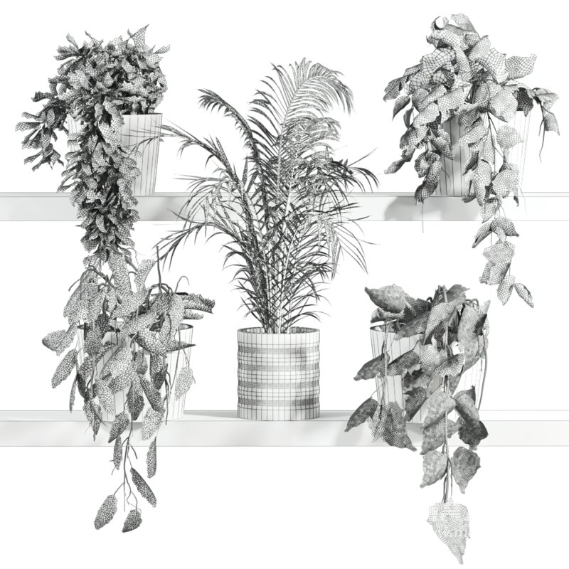 plants set on shelf - Image 2