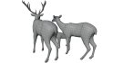 Deer Family - Thumbnail 14