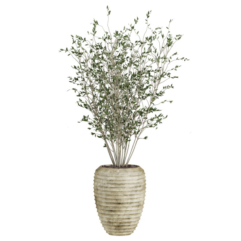 plants set - Image 2