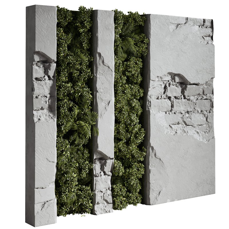 Wall with plant 08 - Image 4