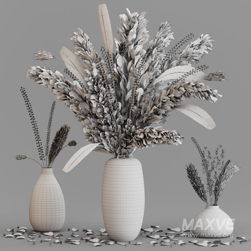 Dried pampas elegance - Image 5