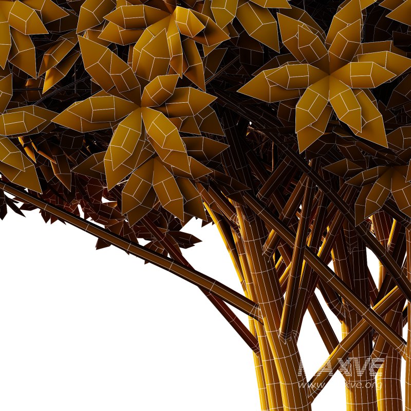 Edgeworthia chrysantha Plant Bush 04 - Image 3