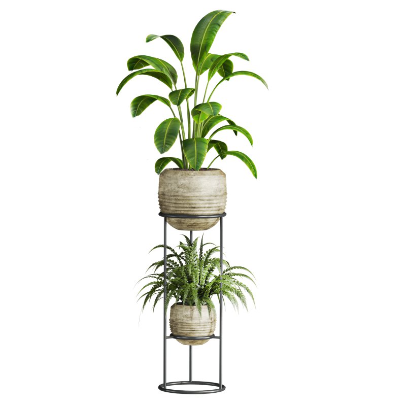 plants set - Image 3